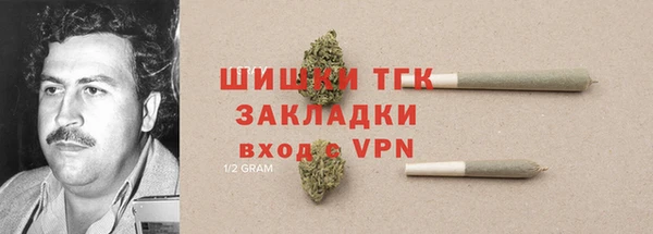 гашик Аркадак
