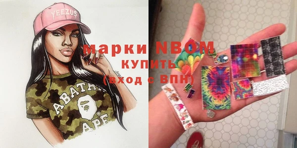 гашик Аркадак
