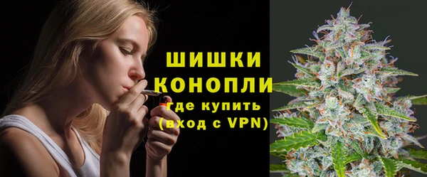 гашик Аркадак